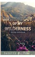 Birthing Out of My Wilderness