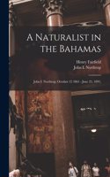 Naturalist in the Bahamas