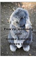 You're nobody till some bunny loves you