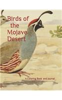 Birds of the Mojave Desert