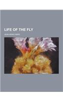 Life of the Fly