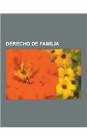 Derecho de Familia: Secuestro Parental, Custodia Compartida, Familia Homoparental, Union Civil, Registro Civil, Filiacion, Ley de Sociedad(Spanish)