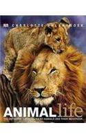 Animal Life