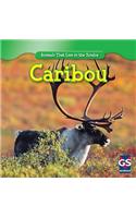 Caribou