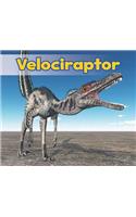 All About Dinosaurs Velociraptor