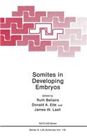 Somites in Developing Embryos