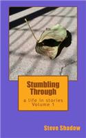 Stumbling Through: a life in stories