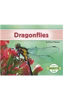 Dragonflies: (Insects)