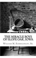 The Miracle Boys of Slope Oak, Iowa