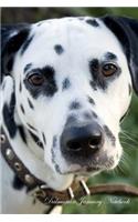 Dalmatian January Notebook Dalmatian Record, Log, Diary, Special Memories, To Do List, Academic Notepad, Scrapbook & More