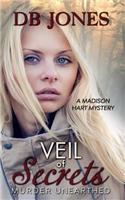 Veil of Secrets