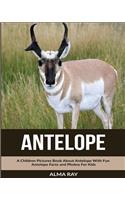 Antelope: A Children Pictures Book About Antelope With Fun Antelope Facts and Photos For Kids