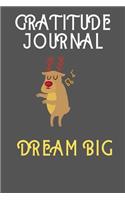 Gratitude Journal Dream Big: Gratitude Journal that inspires children to dream big and be more positive and grateful, an excellent gift for birthdays, Christmas, Valentines or a