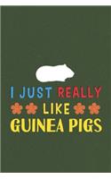 I Just Really Like Guinea Pigs