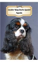 2020 Cavalier King Charles Spaniel Agenda: 107 Pagine - Dimensioni DIN A5 - Pianificatore Settimanale - 12 Mesi - Due Pagine Per Settimana - Calendario - Diario - Cane