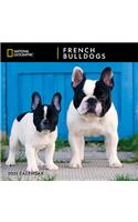 Cal 2021- Ng French Bulldogs Wall