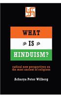 What is Hinduism?: Radical new perspectives on the most ancient of religions