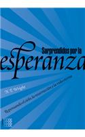 Sorprendidos por la esperanza