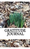 Gratitude Journal