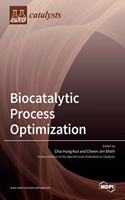 Biocatalytic Process Optimization