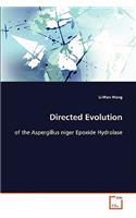Directed Evolution of the Aspergillus niger Epoxide Hydrolase