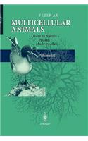Multicellular Animals