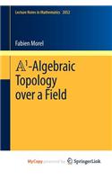 A1-Algebraic Topology over a Field