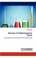 Stroma of Odontogenic Cysts: (English)