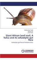 Giant African land snail, A fulica and its cellulolytic gut flora