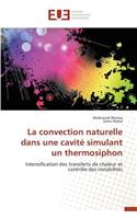 La Convection Naturelle Dans Une Cavité Simulant Un Thermosiphon