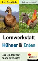 Lernwerkstatt Huhner & Enten / Sekundarstufe