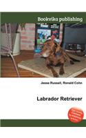 Labrador Retriever: (English)
