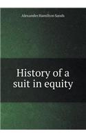 History of a suit in equity