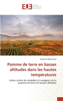 Pomme de terre en basses altitudes dans les hautes températures