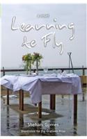 Learning to Fly