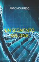 Segmento del DNA