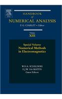 Numerical Methods in Electromagnetics: Special Volume(13 Handbook of Numerical Analysis)