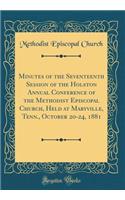 Minutes of the Seventeenth Session of the Holston Annual Conference of the Methodist Episcopal Church, Held at Maryville, Tenn., October 20-24, 1881 (Classic Reprint)