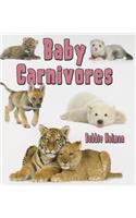 Baby Carnivores