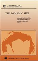 Dynamic Sun