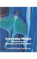 Everyday Magic: Field Notes on the Mundane and the Miraculous