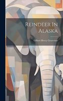Reindeer In Alaska