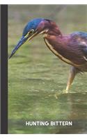 hunting bittern