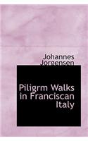 Piligrm Walks in Franciscan Italy