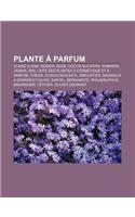 Plante a Parfum: Ylang-Ylang, Rosier, Rose, Cocos Nucifera, Romarin, Jasmin, Iris, Liste Des Plantes a Cosmetique Et a Parfum, Theier: (French)