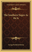 The Southern Negro As He Is