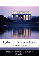 Cyber Infrastructure Protection