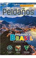 Ladders Reading/Language Arts 3: Welcome to Brazil (On-Level; Social Studies), Spanish