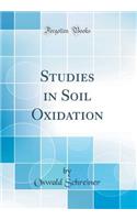 Studies in Soil Oxidation (Classic Reprint)