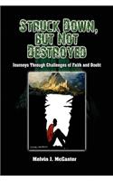 Struck Down, but Not Destroyed: Journeys Through Challenges of Faith and Doubt